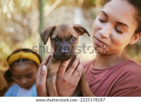 Dog, woman and hands holding puppy in love for adoption, life or bonding by animal shelter. Happy female carrying small little pup in hand for support, trust and loving affection for pet care or home
