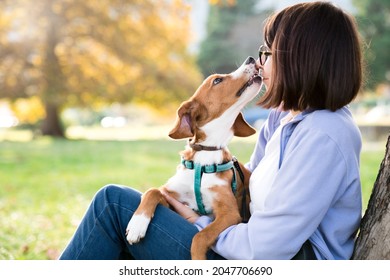 Dog And Woman Playing In Autumn Park. Pet Owner And Cute Adopted Puppy Happy Together. Lifestyle Authentic Moment