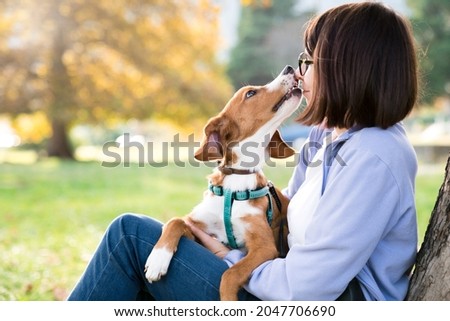 Dog and woman playing in autumn park. Pet owner and cute adopted puppy happy together. Lifestyle authentic moment