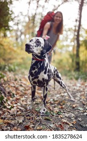 A Dog And Young Female Hiker Posing For A Photo At Hiking Trail