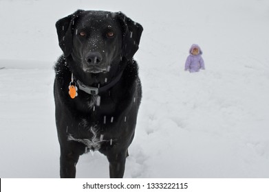 Dog With Young Girl Playing In Snow