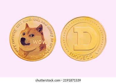 Dogecoin DOGE Isolated on white background with clipping path