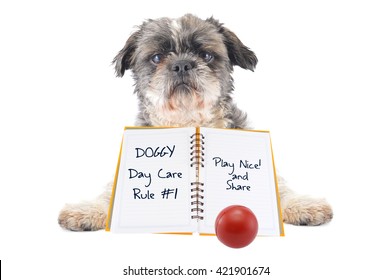 Doggy Day Care Rule #1 Play Nice And Share Notebook Shitsu Dog Red Ball Isolated On White Background