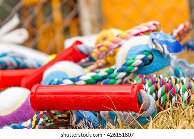 Doggy toys - Powered by Shutterstock