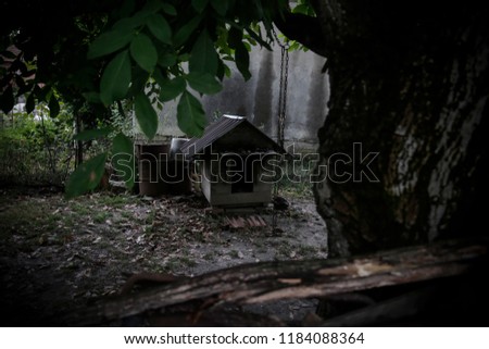 Doghouse in the backyard