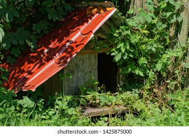 Doghouse With A Red Roof Stands In Green Grass And Vegetation