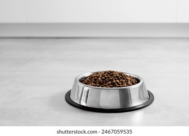 Dogs' food in metal a plate. Dry animal feed in a bowl close up. Dry food for puppies or dogs in a small bowl. Pets feed. Balanced food, pet store. - Powered by Shutterstock