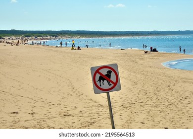 Dogs Not Allowed On Beach Selective Stock Photo 2195564513 | Shutterstock