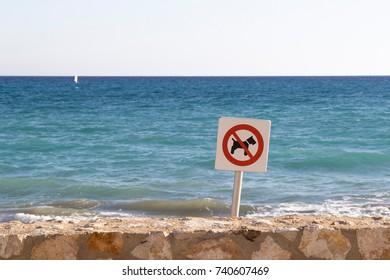 Dogs Not Allowed On Beach Stock Photo 740607469 | Shutterstock