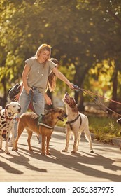 Dogs On Walk With Happy Professional Dog Walker 