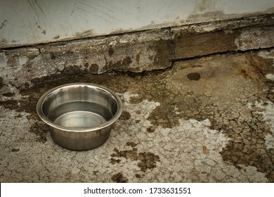 Dogs Water Dish After A Dog Took A Long Drink. The Water Was Splashed All Around The Metal Bowl. The Bowl Its Self Is Half Empty After The Dog Drank And Spilled Some Of The Water. 