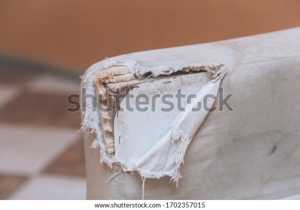 Dog-soaked sofa. Damaged sofa upholstery. Dog ruined\
a white sofa