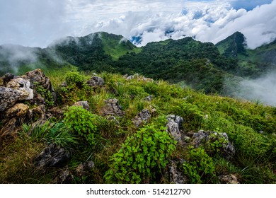 Doi Luang Chiang Dao