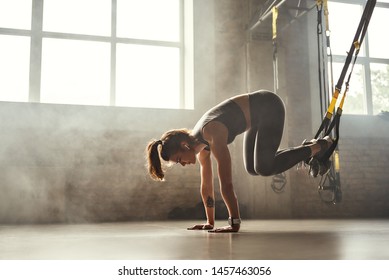 Doing TRX exercises. Young athletic woman in sports clothing training legs with trx fitness straps in the gym.