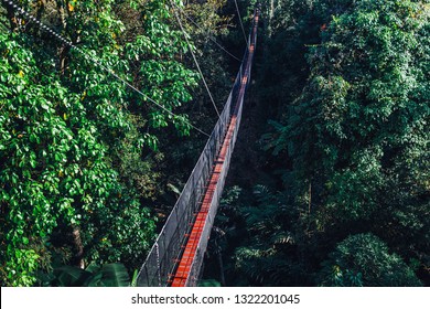 Doitung Tree Top Walk