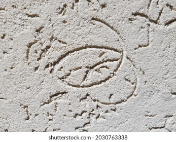 Do-it-yourself light brown decorative plaster bark beetle - with infrequent rounded squiggles
- in the sun (texture).