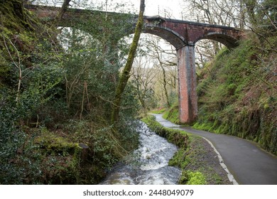 Dolgoch Falls waterfall and stream surrounded by forest fauna, in Wales. Shots taken after heavy rainfall, meaning the water was ferocious and fast flowing. The surrounding forest is green and lush.