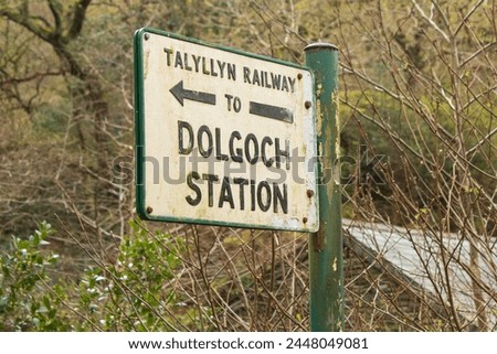 Dolgoch Falls waterfall and stream surrounded by forest fauna, in Wales. Shots taken after heavy rainfall, meaning the water was ferocious and fast flowing. The surrounding forest is green and lush.