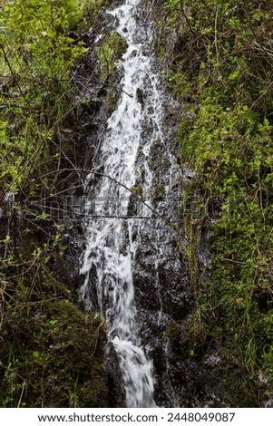 Dolgoch Falls waterfall and stream surrounded by forest fauna, in Wales. Shots taken after heavy rainfall, meaning the water was ferocious and fast flowing. The surrounding forest is green and lush.
