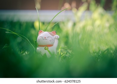 Dall Cat High Res Stock Images  Shutterstock