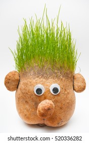 doll with hair from grass on white background