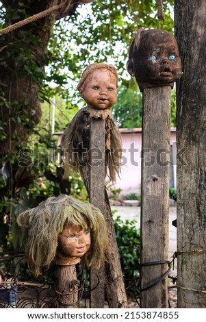Doll heads on stakes, a sinister image. Halloween. scary photo of black magic objects. Haunted place