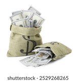 Dollar banknotes in bags isolated on white