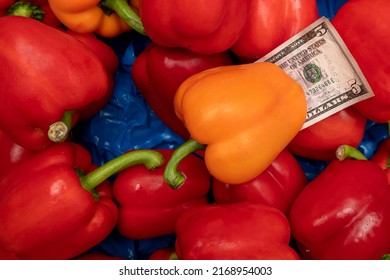 Dollar Bill Money In A Pile Of Colored Bell Peppers. The Concept Of A Small Business For Harvesting And Selling Vegetables.