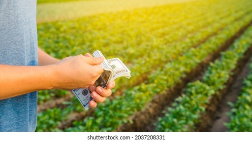 Dollar Bills In The Hands Of A Farmer On A Background Of Plantation. Profit, Income From Agribusiness Concept. Agricultural Startups. Support And Subsidies. Farm Loans. Selective Focus