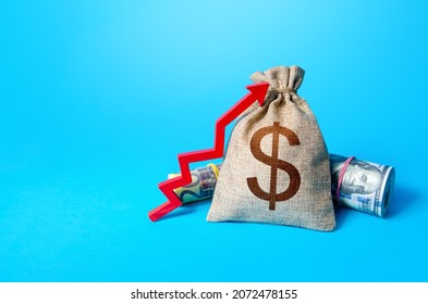 Dollar money bag and red up arrow. Economic growth, GDP. Rise in profits, budget fees. Inflation acceleration. Increase income and business efficiency. Investments. Increase in the deposit rate.