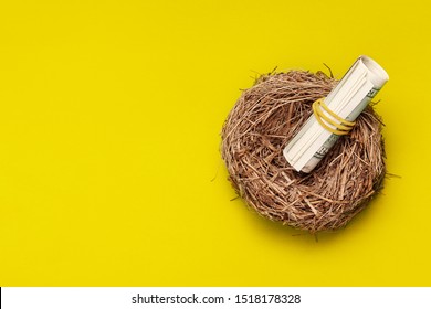 Dollar Money Roll Lies In Bird Nest, Top View. Creative Business Conceptual Background: Money Fragility, Nestling, Investment Climate