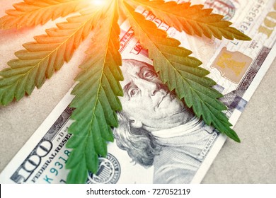 Dollars And Cannabis, Legal And Black Market Business