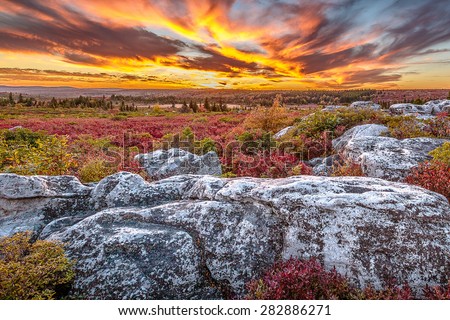 Dolly Sods Wilderness Area scenic sunset