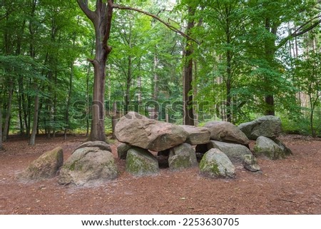 Dolmen D11 at pinetum Ter Borgh in the Boswachterij Anloo the Dutch province of Drenthe with a background of beech trees. A dolmen or in Dutch a Hunebed is construction work from the new stone age.