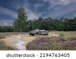 Dolmen D40, Valtherbos municipality of Emmen in the Dutch province of Drenthe is a Neolithic Tomb and protected historical monument in an natural environment
