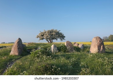 Dolmen from Neolithic period, long barrow with burial chambers, two large boulders as guardian stones, Nobbin, Rügen, Mecklenburg-Western Pomerania, Germany