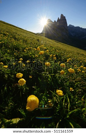 Dolomites Ladinia