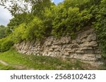  Dolomite outcrop wall on the river bank. Protected habitat of European importance.
Environmentally friendly management of natural resources. Dole Island. Latvia