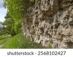  Dolomite outcrop wall on the river bank. Protected habitat of European importance.
Environmentally friendly management of natural resources. Dole Island. Latvia