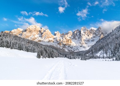 Dolomiti winter landscape, snow and peaks of Pale di San Martino into Trentino natural park. Snow trekking and winter landscape from italian alps