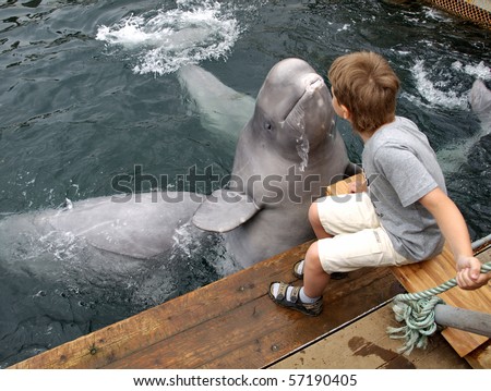 The dolphin beluga jumps out of water and kisses the boy