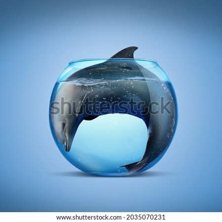 Dolphin in glass aquarium on light blue background. Anti-Captivity Campaign