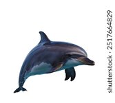 A dolphin is a highly intelligent, social marine mammal known for its playful behavior and acrobatic abilities. 