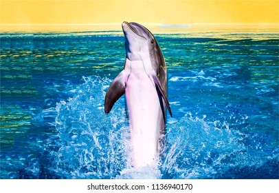 Dolphin jump in water. Cute dolphin jumping. Dolphin portrait