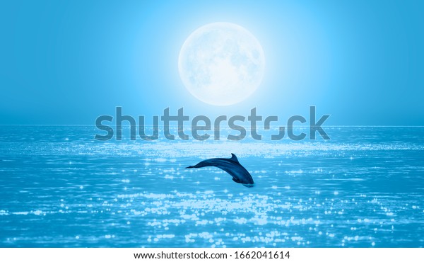 Dolphin jumping on the water - Night sky with moon\
in the clouds on the foreground calm sea\