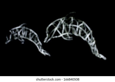 Dolphin light. - Powered by Shutterstock - Get 15% off with code: PIKWIZARD15