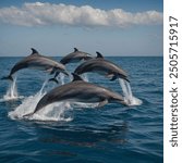 A dolphin pod is a social group of dolphins that live and travel together. These pods can range from a few individuals to several dozen members and are characterized by strong social bonds and coopera