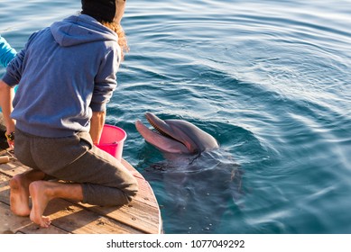 At Dolphin Reef In Eilat, Israel