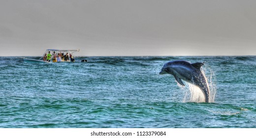 Dolphin St Andrews State Park, Panama City Beach Fl