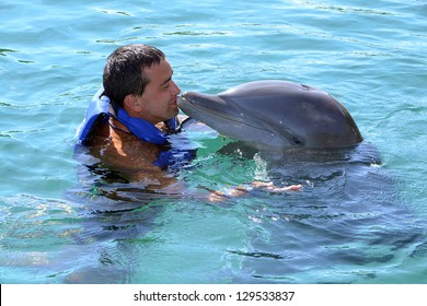  dolphin swimn and kiss man